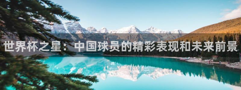 世界杯2026赛程时间表格：世界杯之星：中国球员的精彩表现和未来前景