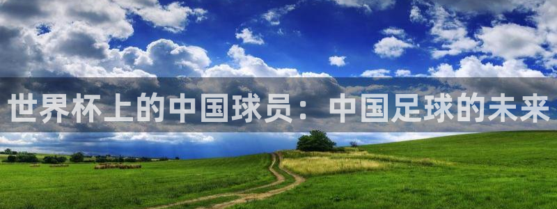 世界杯：世界杯上的中国球员：中国足球的未来