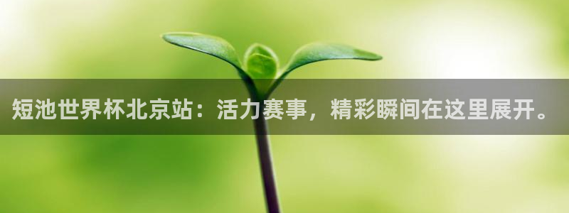 2026世界杯预选赛：短池世界杯北京站：活力赛事，精彩瞬间在这里展开。