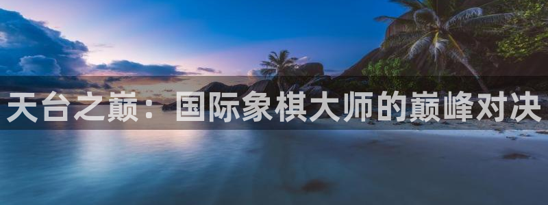 世界杯系列赛：天台之巅：国际象棋大师的巅峰对决