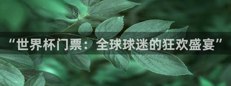世界杯比赛：“世界杯门票：全球球迷的狂欢盛宴”