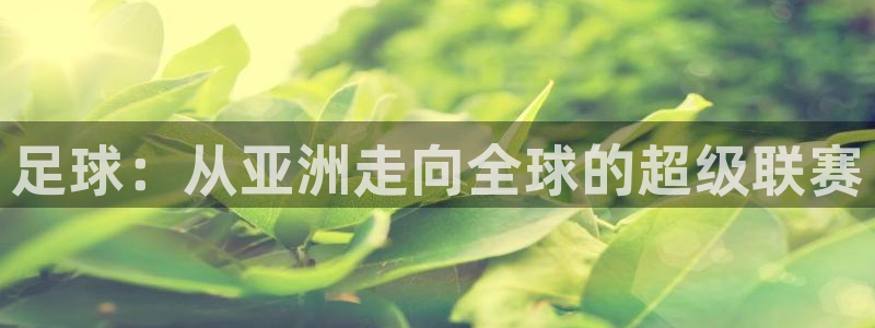 世界杯球赛：足球：从亚洲走向全球的超级联赛