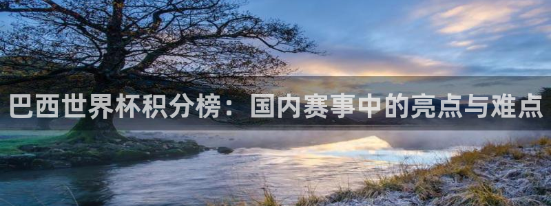 西超杯直播：巴西世界杯积分榜：国内赛事中的亮点与难点