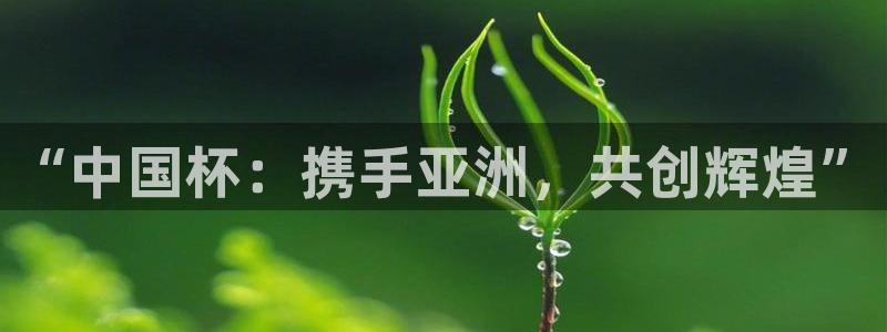世界杯欧洲预选赛：“中国杯：携手亚洲，共创辉煌”