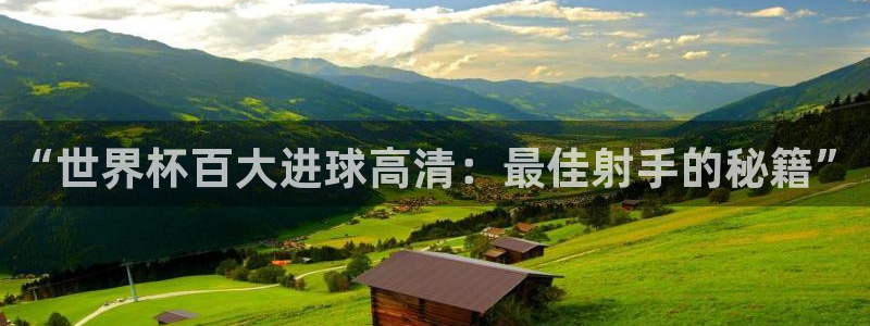 欧洲区世界杯预选赛：“世界杯百大进球高清：最佳射手的秘籍”