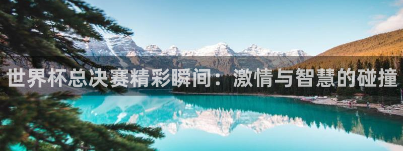 世界杯直播平台：世界杯总决赛精彩瞬间：激情与智慧的碰撞