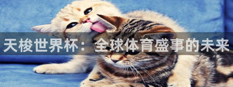 世界杯预选赛亚洲区积分榜：天梭世界杯：全球体育盛事的未来