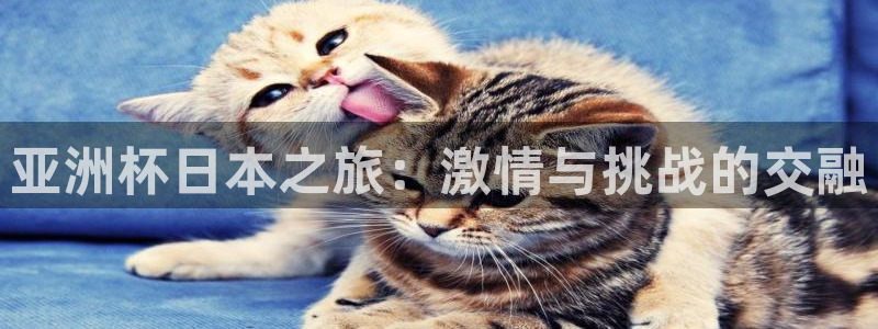 2026年世界杯赛程时间表格：亚洲杯日本之旅：激情与挑战的交融