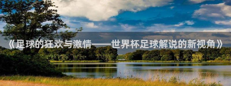 世界杯球队：《足球的狂欢与激情——世界杯足球解说的新视角》