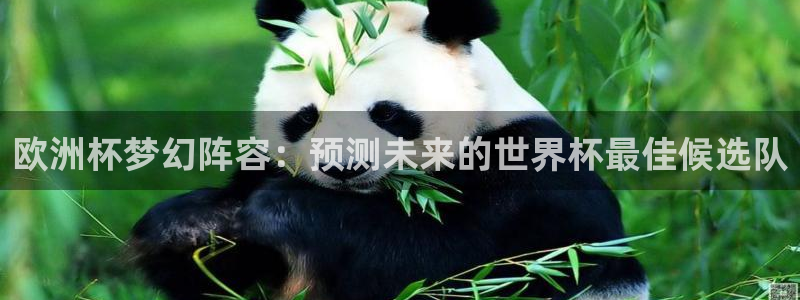 2026世界杯倒计时：欧洲杯梦幻阵容：预测未来的世界杯最佳候选队