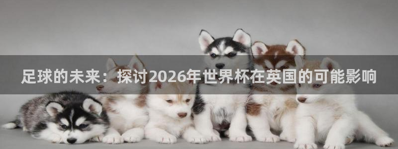 世界杯2026赛程表：足球的未来：探讨2026年世界杯在英国的可能影响