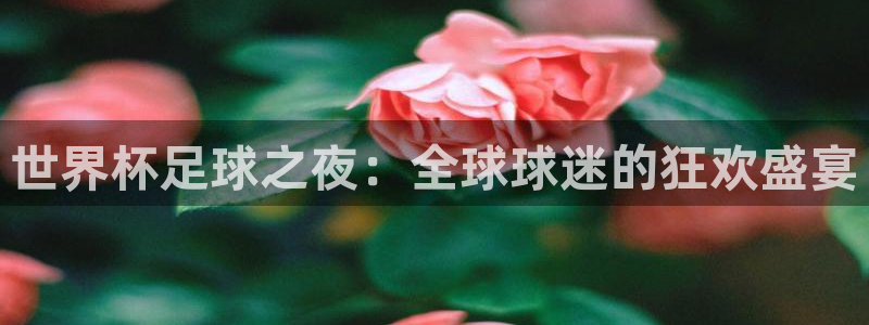 2026世界杯赛程表完整版：世界杯足球之夜：全球球迷的狂欢盛宴
