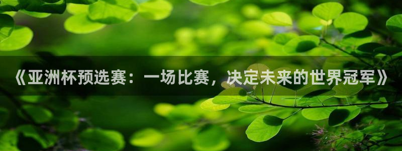 世界杯 中国：《亚洲杯预选赛：一场比赛，决定未来的世界冠军》