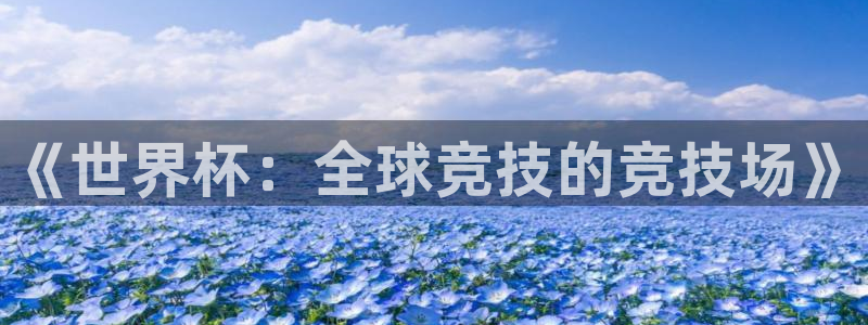 世界杯欧洲预选赛赛程:《世界杯:全球竞技的竞技场》