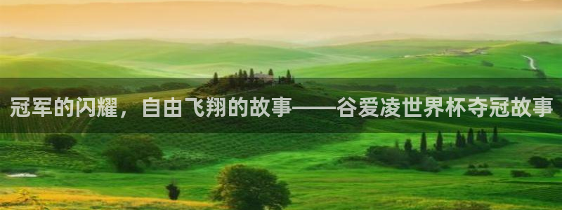2026世界杯预选赛：冠军的闪耀，自由飞翔的故事——谷爱凌世界杯夺冠故事