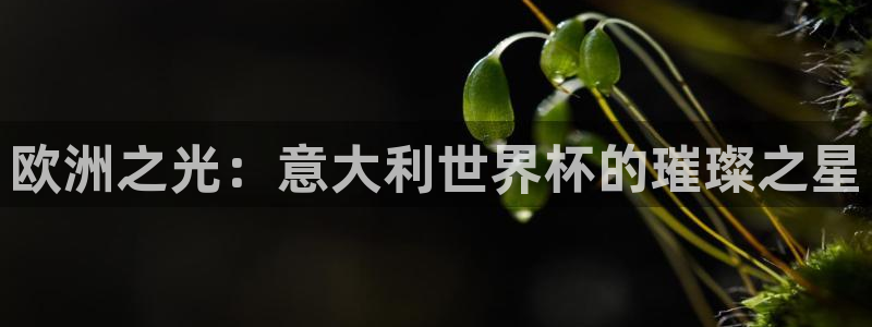 法国杯2026赛程表：欧洲之光：意大利世界杯的璀璨之星